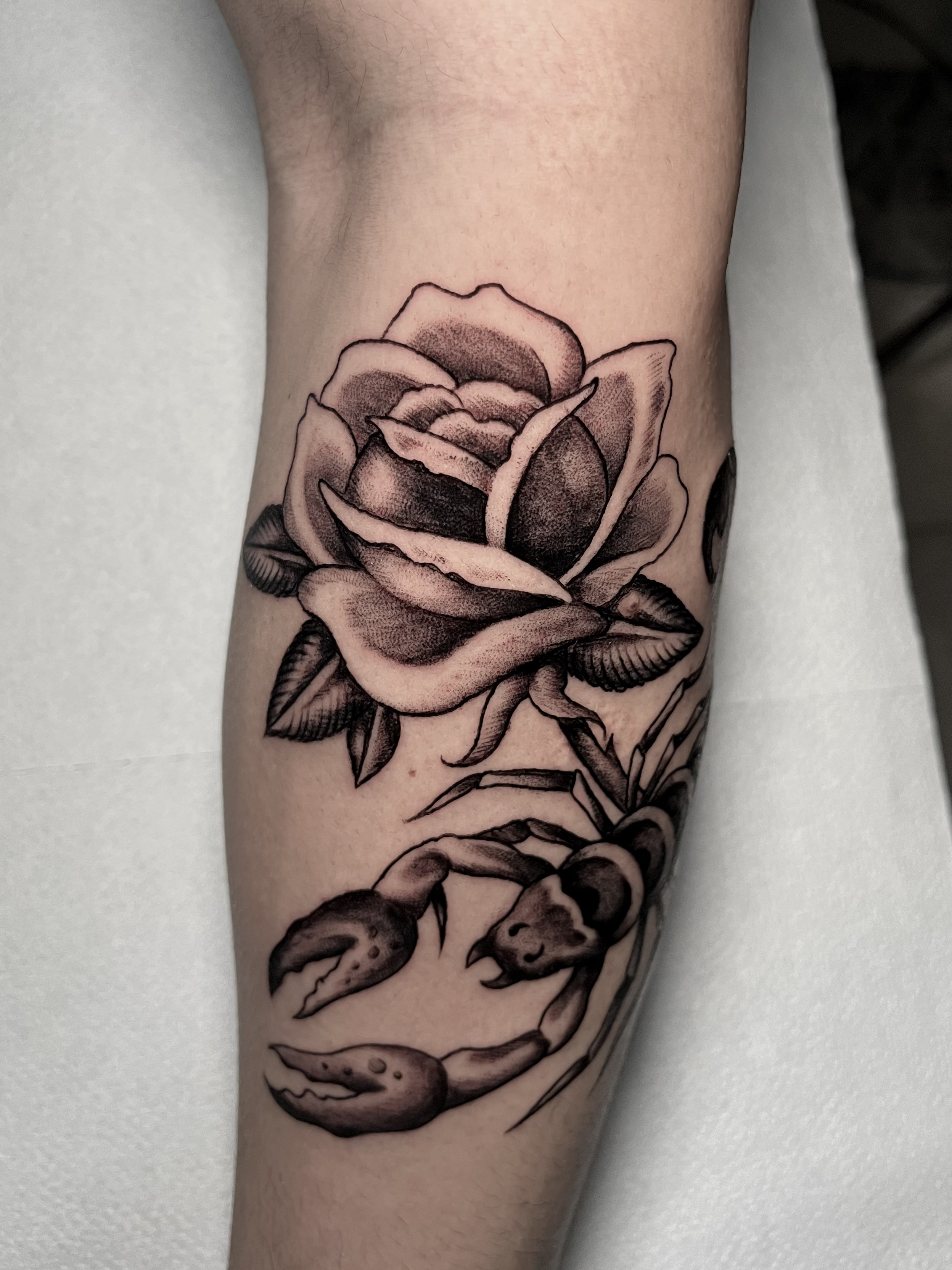 Blackwork botanical illustration