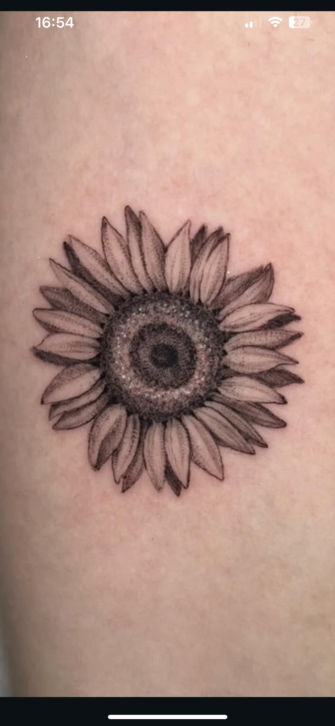 Microrealismo phoenix