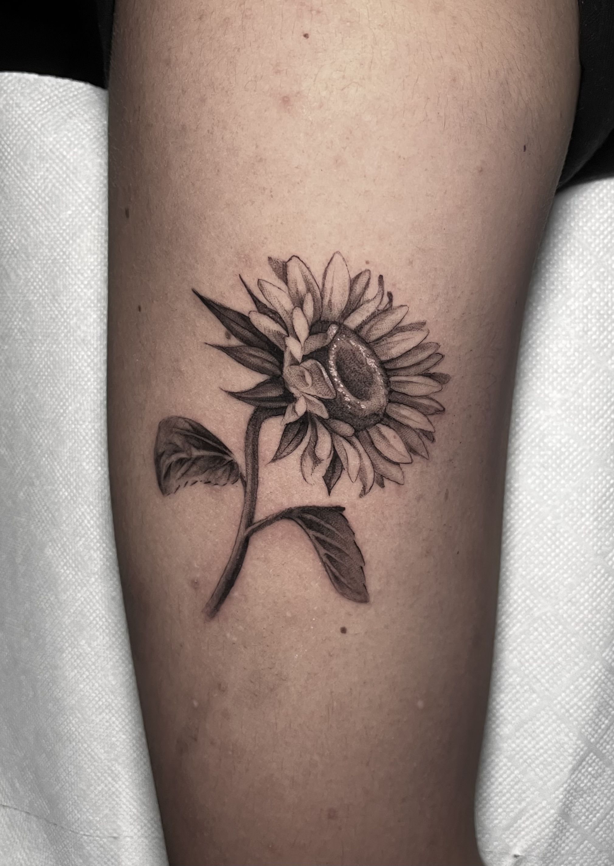 Microrealismo pieza 21