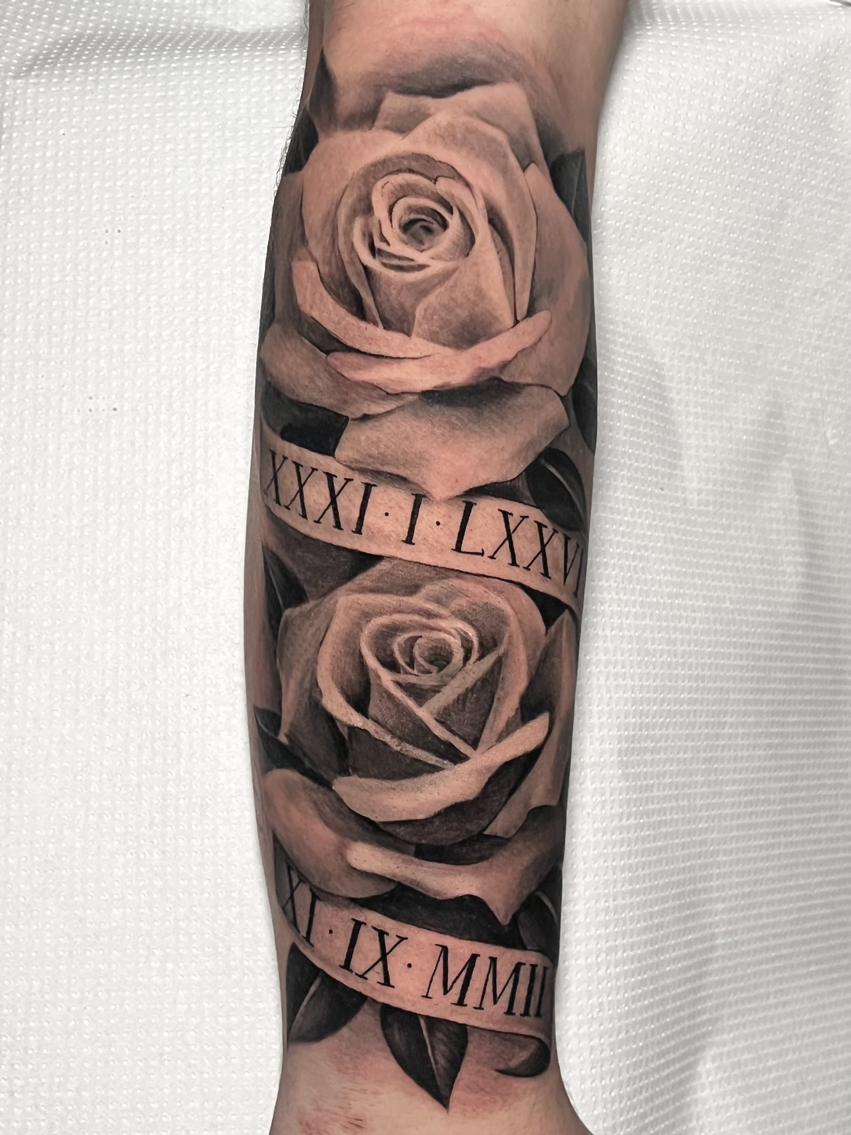 Realismo botanical illustration