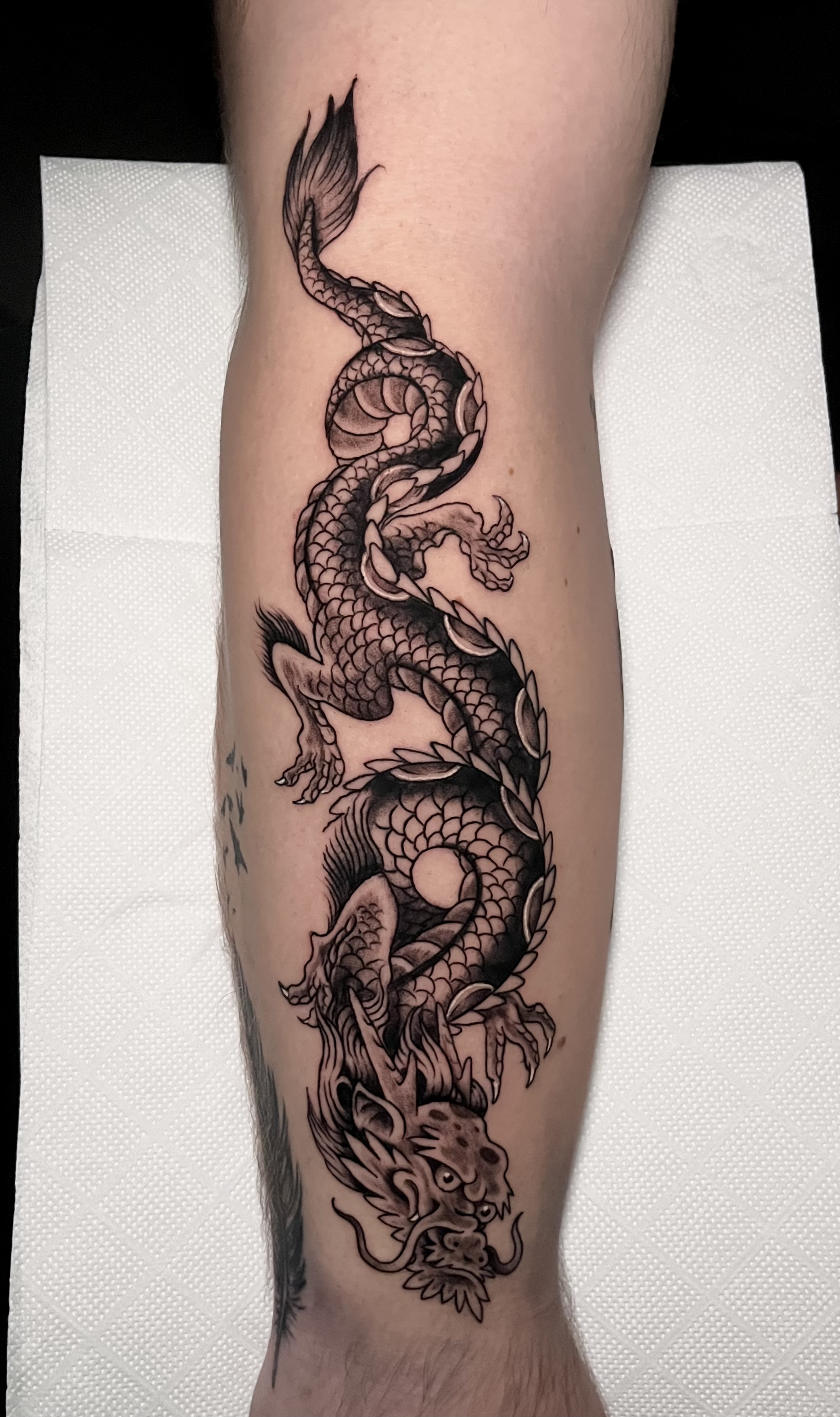 Tradicional animal portrait