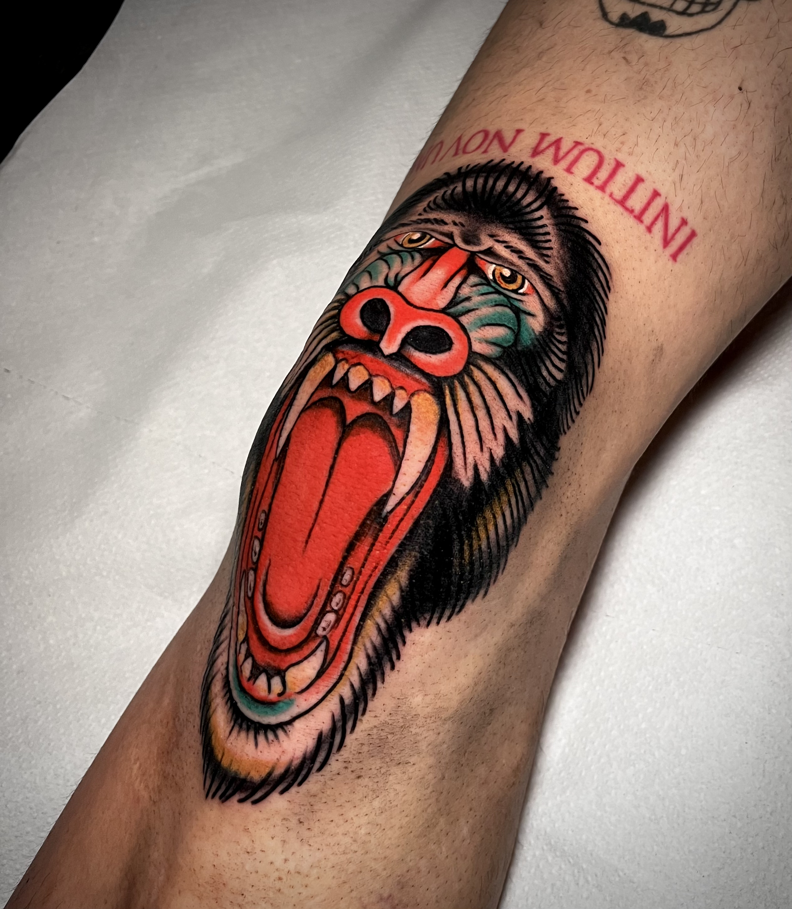 Tradicional pieza 18